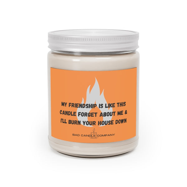 Friendship  Scented Candle, 9oz